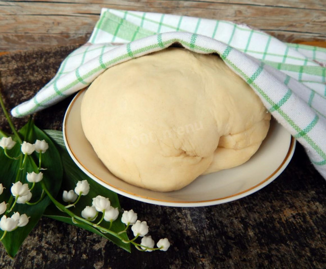 Butter dough on kefir for buns