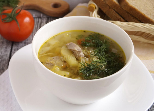 Fresh cabbage soup with turkey