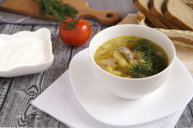 Fresh cabbage soup with turkey