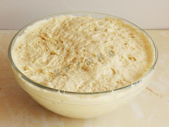 Yeast dough on belyashi with milk