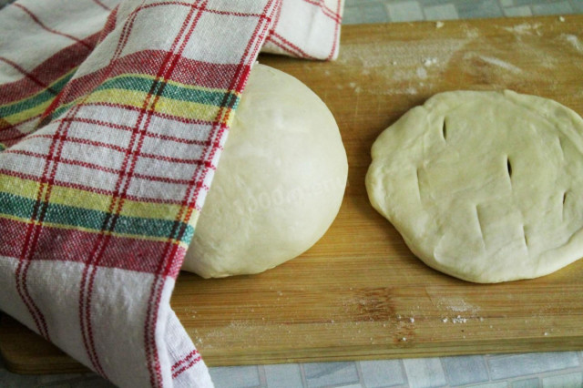 Kefir dough for tortillas