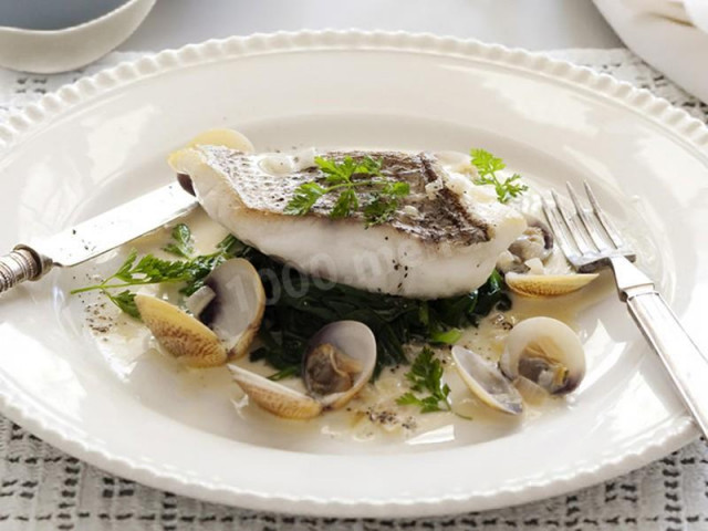 Red perch and clams in kervil sauce