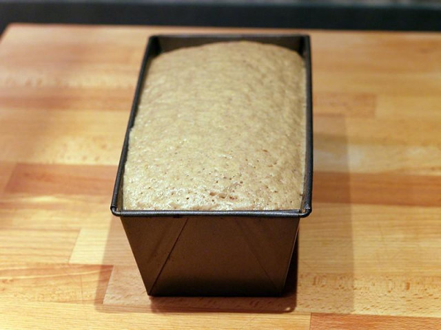 Yeast-free bread dough