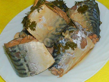 Fish in kindzmari sauce