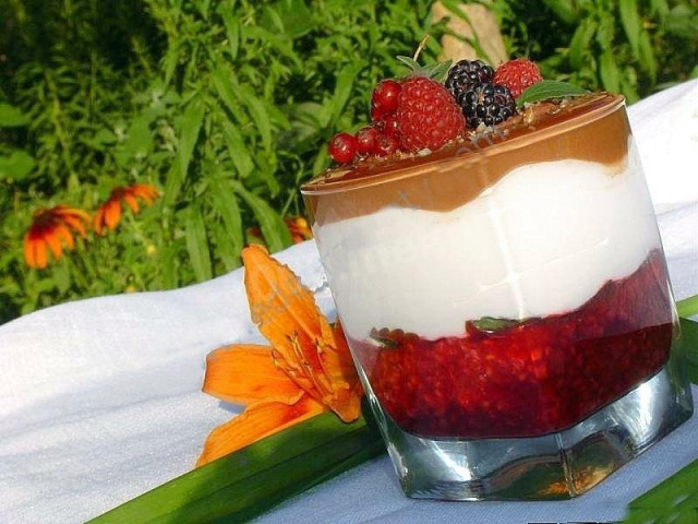 Raspberry sour cream dessert with chocolate