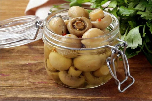 Pickled mushrooms for winter in jars