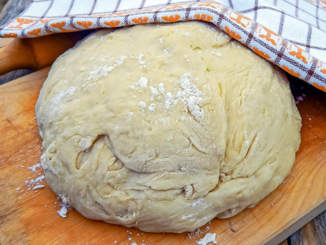 Dough for rolls yeast in milk