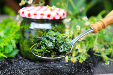 Nettles for winter soup