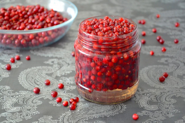 Cranberries for winter without cooking