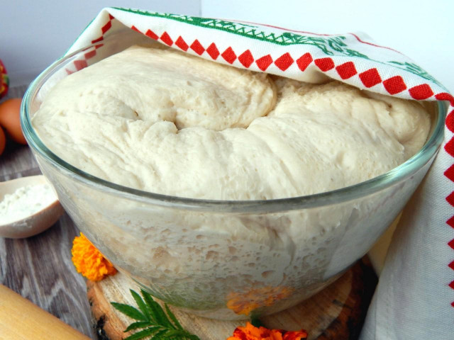 Dough for oven pies on water with milk