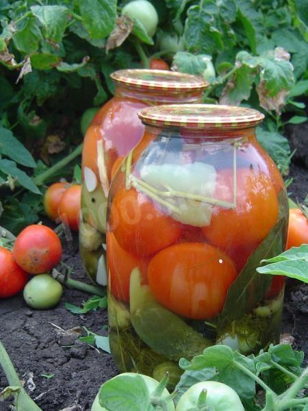 Cucumbers with tomatoes for winter in assorted with dill
