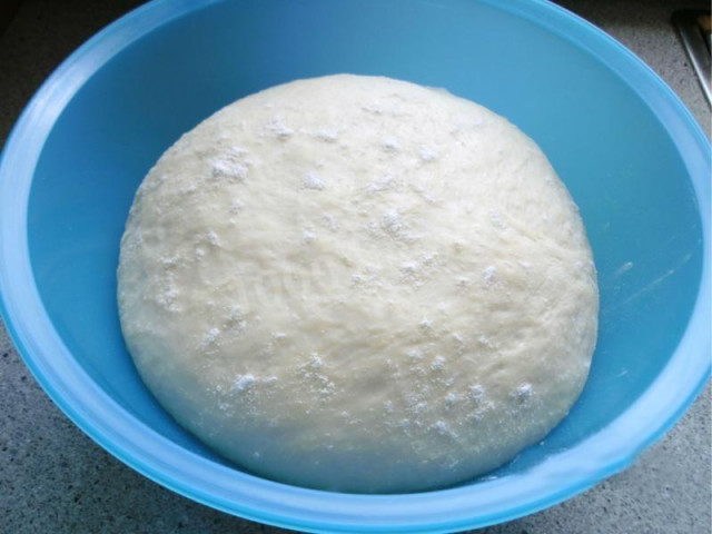 Dough for tortillas with yeast