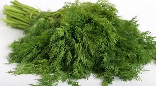 Frozen dill for winter