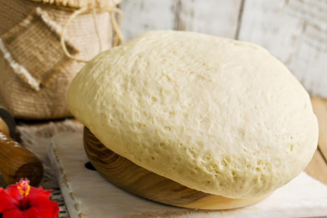 Dough with fresh live yeast