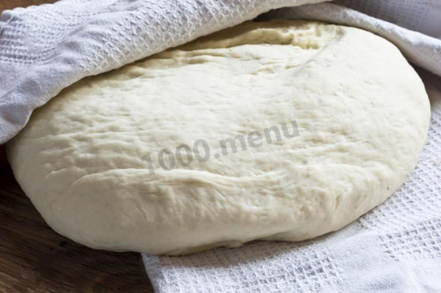 Custard dough for dumplings and dumplings on water