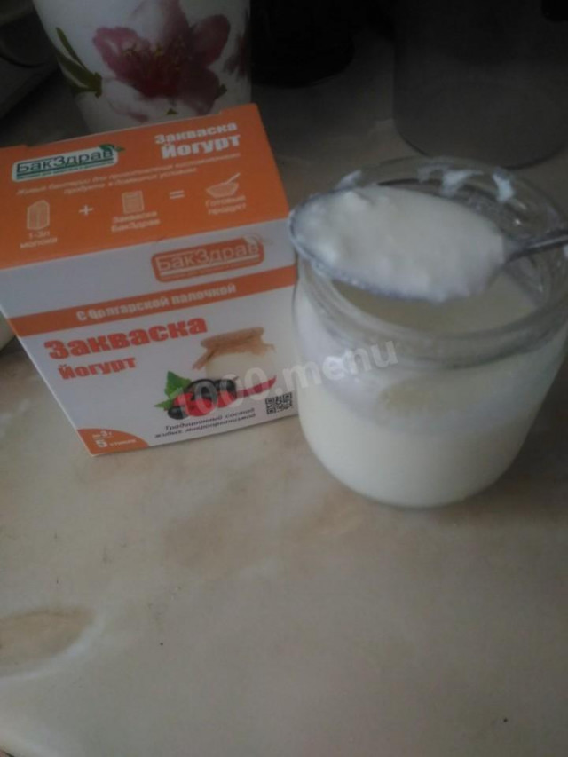 Homemade yogurt with sourdough