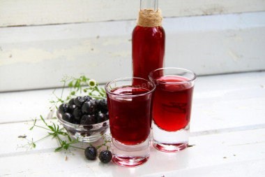 Tincture of chokeberry