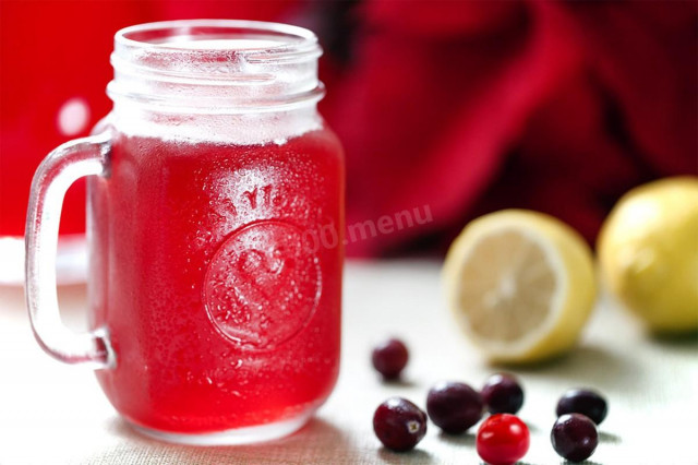 Frozen cranberry and lingonberry juice