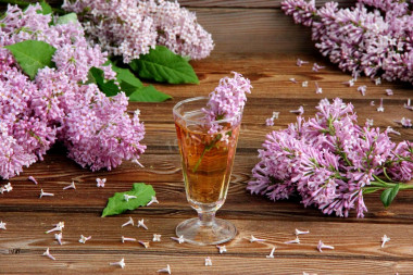 Tincture of lilac on vodka