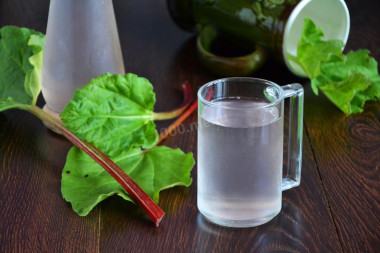 Rhubarb kvass with mint