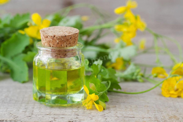 Celandine infusion on vodka