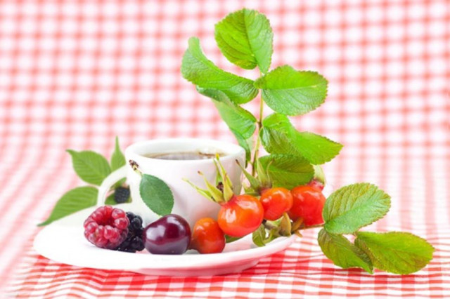 Raspberry and blackberry leaves