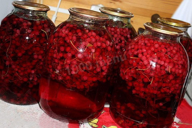 Compote for winter from red and white currants