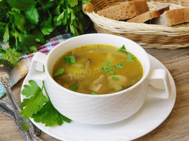 Fresh porcini mushroom soup