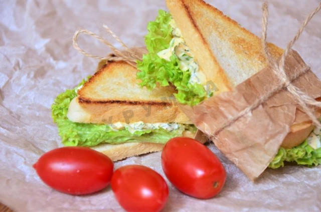 Sandwich picnic sandwiches