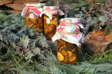 Mushrooms for winter without sterilization