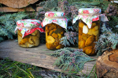 Mushrooms for winter without sterilization