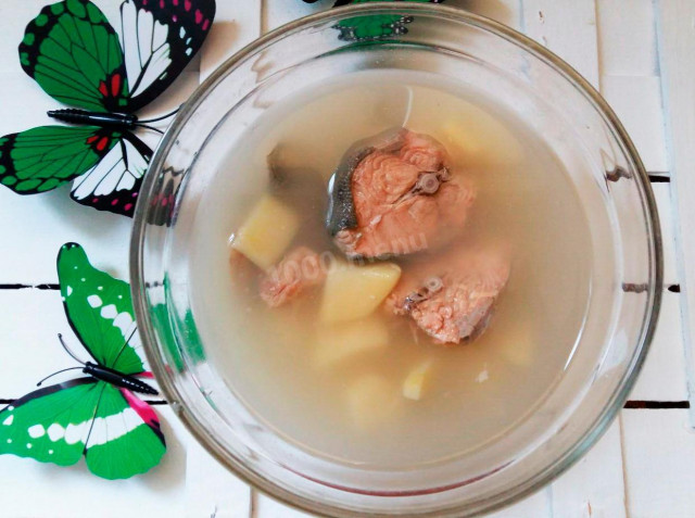 Soup with fresh pink salmon