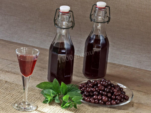 Tincture of black currant on alcohol