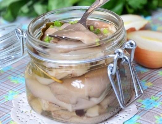 Pickled oyster mushrooms for winter - excellent snack