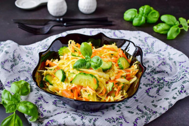 Salad of fresh cabbage carrots and cucumbers
