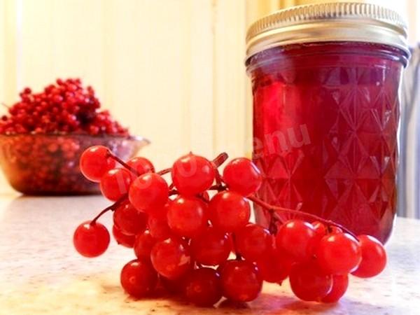 Viburnum syrup for winter