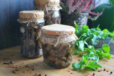 Pickled honey mushrooms in jars for the winter