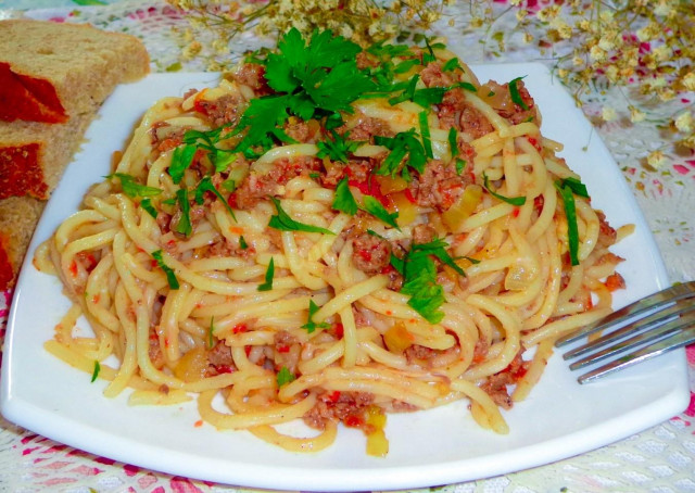 Spaghetti with tomatoes and minced meat