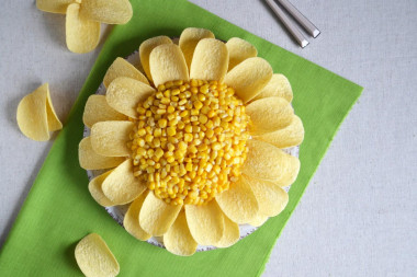 Chamomile salad with chips