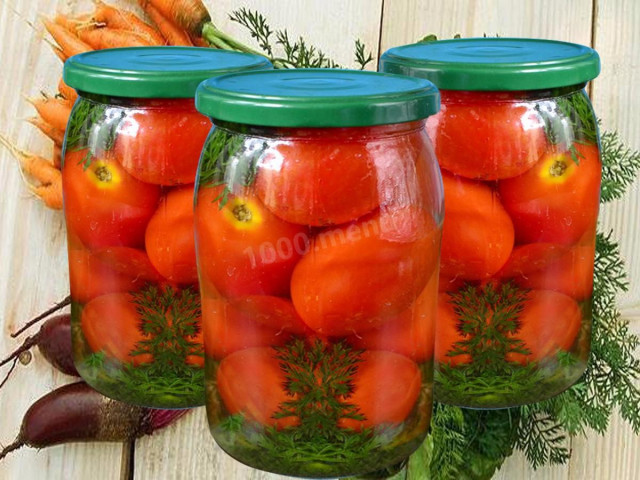 Pickled tomatoes for winter with carrot tops