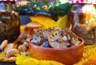 Fried honey mushrooms for winter