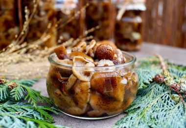 Pickled honey mushrooms with dill for winter