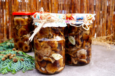 Pickled honey mushrooms with dill for winter