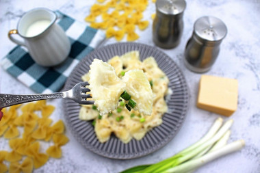 Pasta in sauce with milk and butter with cheese