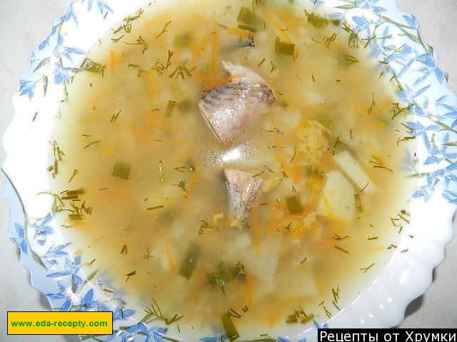 Canned pollock soup with herbs