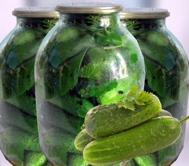 Cucumbers with vodka for winter crispy canned