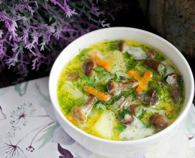 Soup with processed cheese and wild mushrooms