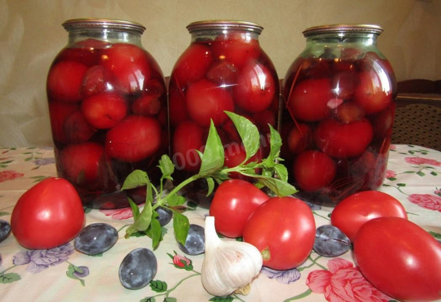 Pickled tomatoes with plums and basil for winter