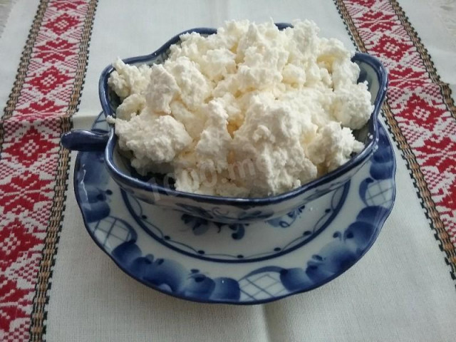 Sissy cottage cheese