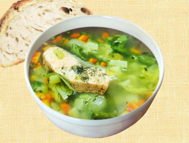 Turkey soup with vegetables